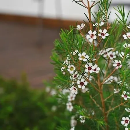 Douro Premium Garden By Mp * וילה נובה דה גאיה