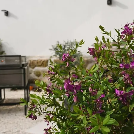 Douro Premium Garden | Ac | Bbq Lejlighed *