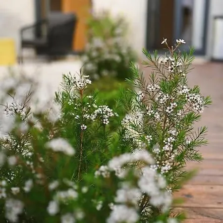Douro Premium Garden | Ac | Bbq Apartament Vila Nova de Gaia