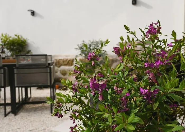 Douro Premium Garden By Mp Lejlighed *
