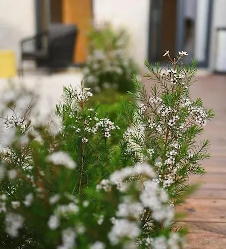 Douro Premium Garden By Mp Lejlighed Vila Nova de Gaia