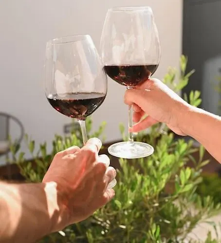 Douro Premium Garden By Mp Lejlighed Vila Nova de Gaia