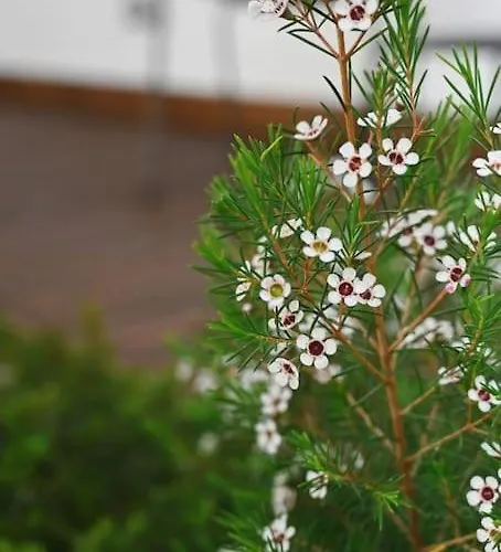 Douro Premium Garden By Mp * Vila Nova de Gaia